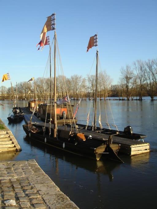 Appart Gite Les Oiseaux- Face Loire Quai Du Chatelet Orlean Zewnętrze zdjęcie